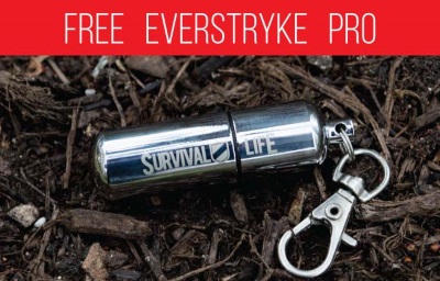 Everstrike Pro 400x256