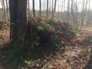 Debris Shelter