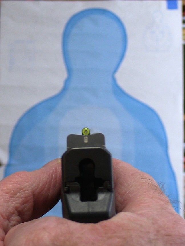 XS SIghts DXT PRO Big Dot SIght Picture